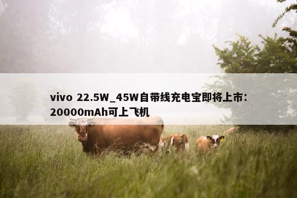 vivo 22.5W_45W自带线充电宝即将上市：20000mAh可上飞机