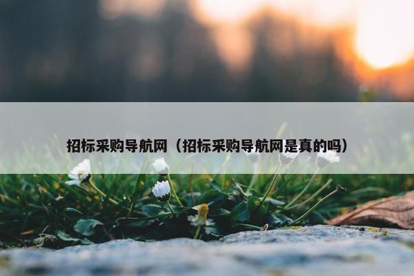 招标采购导航网（招标采购导航网是真的吗）