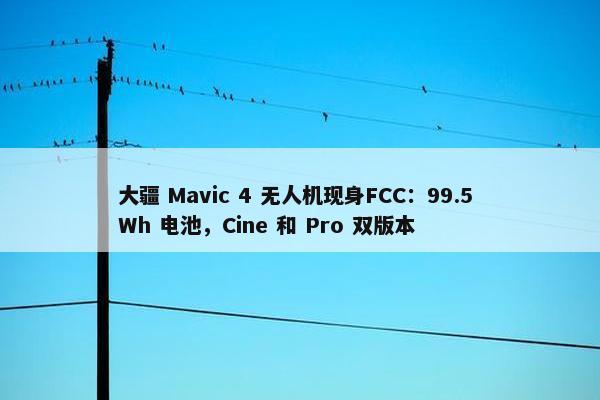 大疆 Mavic 4 无人机现身FCC：99.5 Wh 电池，Cine 和 Pro 双版本