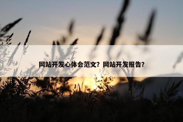 网站开发心体会范文？网站开发报告？