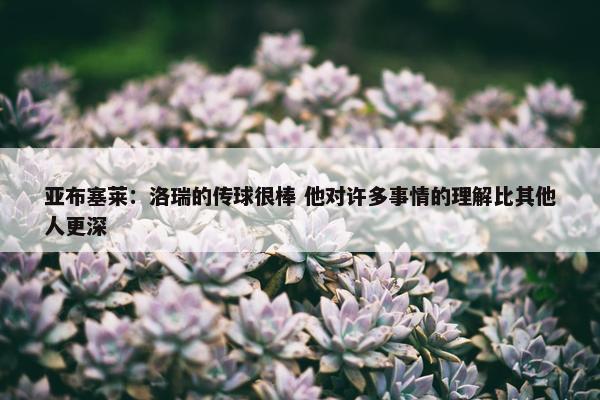 亚布塞莱：洛瑞的传球很棒 他对许多事情的理解比其他人更深