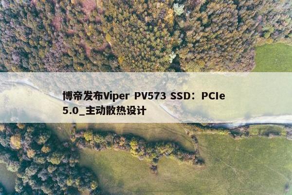 博帝发布Viper PV573 SSD：PCIe 5.0_主动散热设计