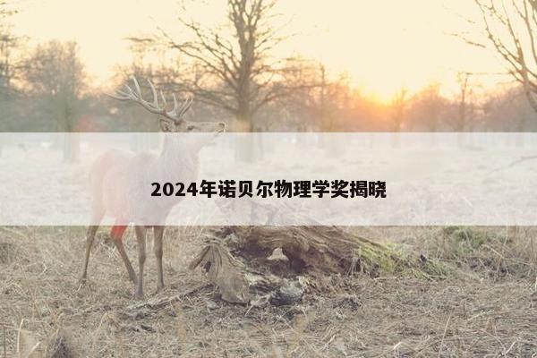 2024年诺贝尔物理学奖揭晓