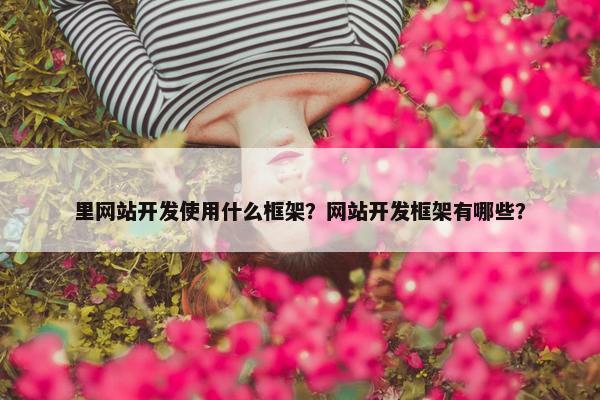 里网站开发使用什么框架？网站开发框架有哪些？