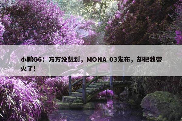 小鹏G6：万万没想到，MONA 03发布，却把我带火了！