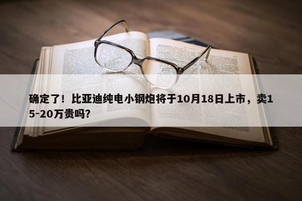 确定了！比亚迪纯电小钢炮将于10月18日上市，卖15-20万贵吗？