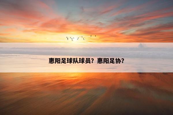 惠阳足球队球员？惠阳足协？