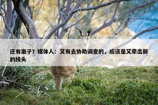 还有案子？媒体人：又有去协助调查的，应该是又牵出新的线头