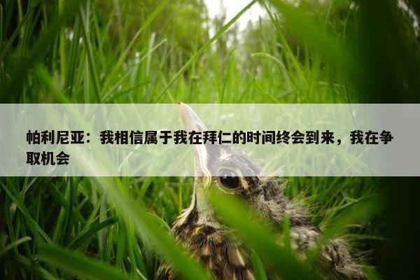 帕利尼亚：我相信属于我在拜仁的时间终会到来，我在争取机会