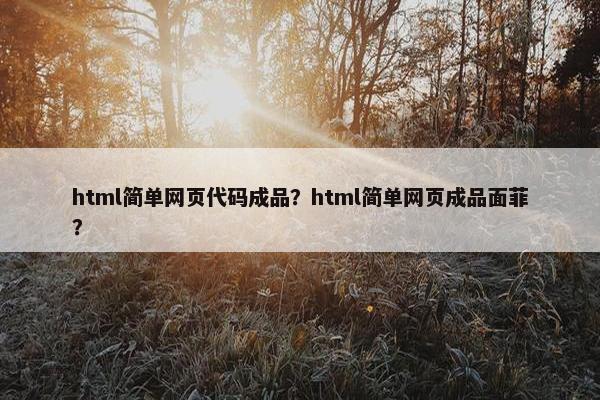 html简单网页代码成品？html简单网页成品面菲？