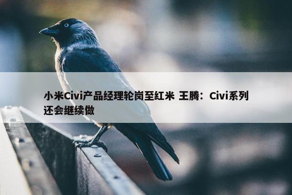 小米Civi产品经理轮岗至红米 王腾：Civi系列还会继续做