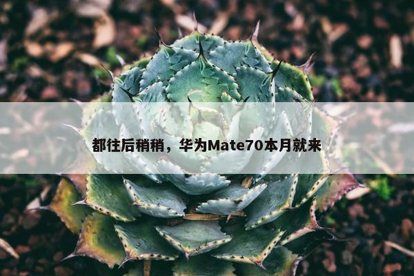 都往后稍稍，华为Mate70本月就来