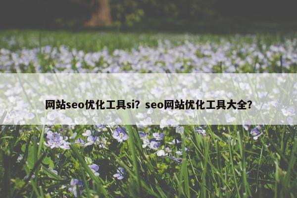 网站seo优化工具si？seo网站优化工具大全？