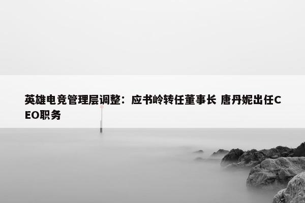 英雄电竞管理层调整：应书岭转任董事长 唐丹妮出任CEO职务