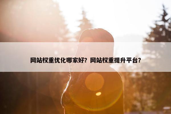 网站权重优化哪家好？网站权重提升平台？