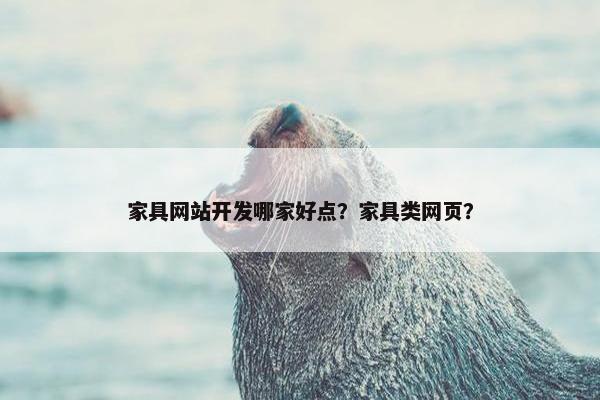 家具网站开发哪家好点？家具类网页？