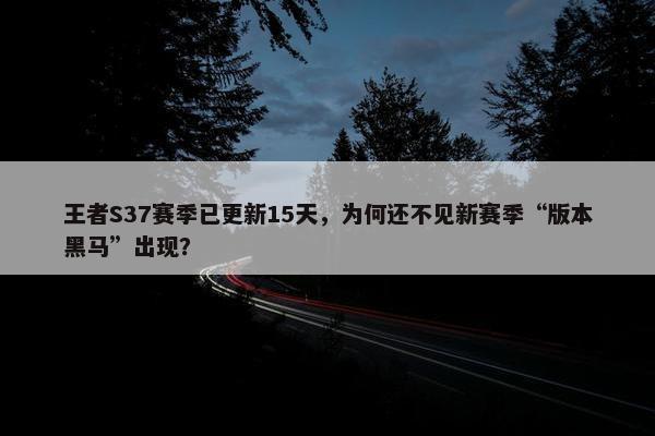 王者S37赛季已更新15天，为何还不见新赛季“版本黑马”出现？