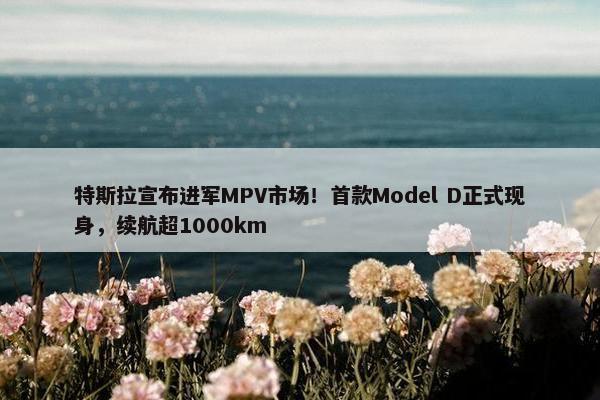 特斯拉宣布进军MPV市场！首款Model D正式现身，续航超1000km