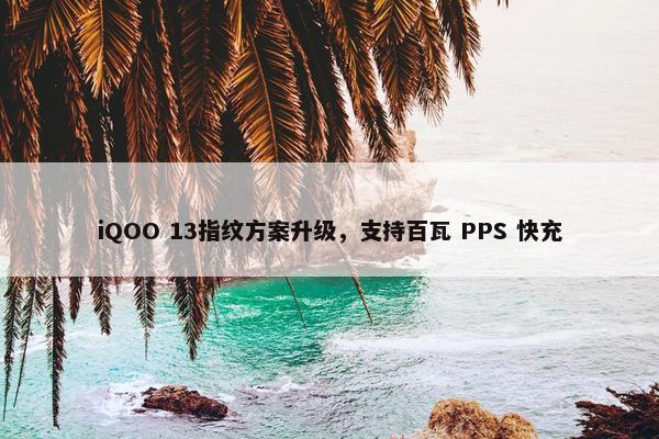 iQOO 13指纹方案升级，支持百瓦 PPS 快充