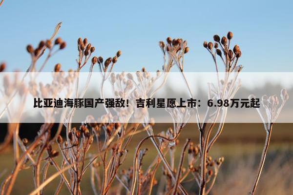 比亚迪海豚国产强敌！吉利星愿上市：6.98万元起