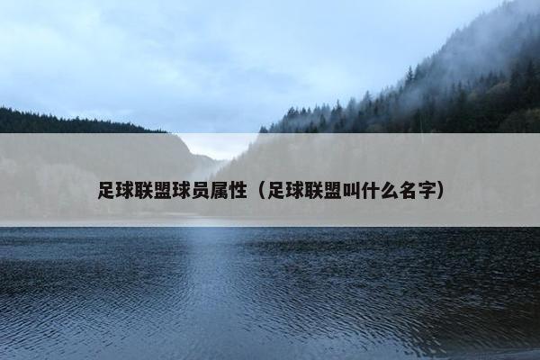 足球联盟球员属性（足球联盟叫什么名字）