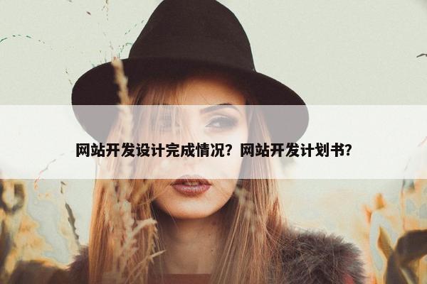 网站开发设计完成情况？网站开发计划书？