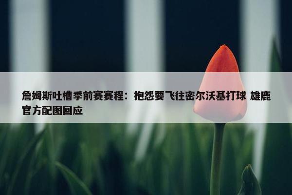 詹姆斯吐槽季前赛赛程：抱怨要飞往密尔沃基打球 雄鹿官方配图回应