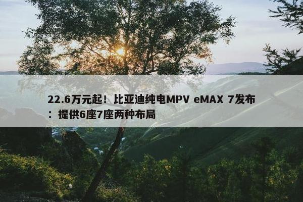 22.6万元起！比亚迪纯电MPV eMAX 7发布：提供6座7座两种布局