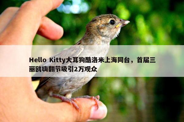 Hello Kitty大耳狗酷洛米上海同台，首届三丽鸥嗨翻节吸引2万观众