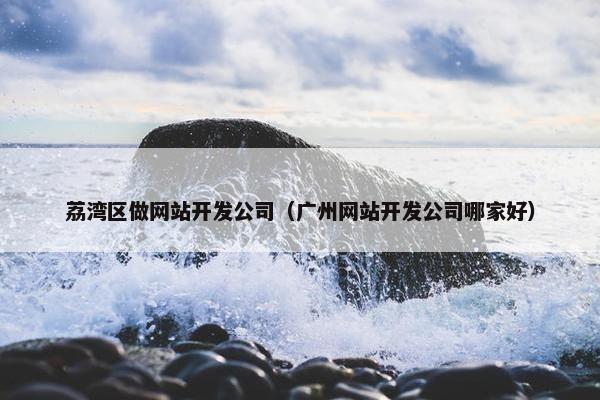 荔湾区做网站开发公司（广州网站开发公司哪家好）