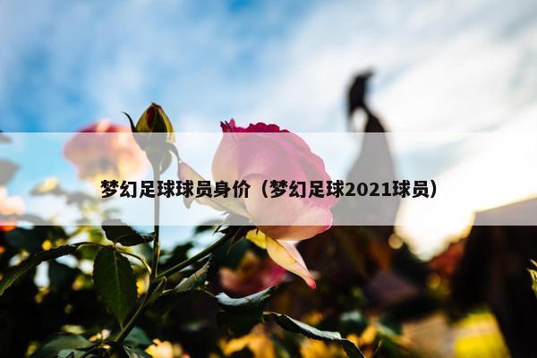 梦幻足球球员身价（梦幻足球2021球员）