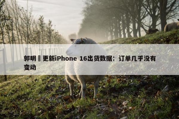 郭明錤更新iPhone 16出货数据：订单几乎没有变动