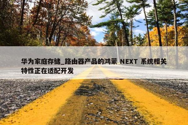 华为家庭存储_路由器产品的鸿蒙 NEXT 系统相关特性正在适配开发