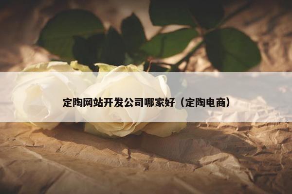 定陶网站开发公司哪家好（定陶电商）