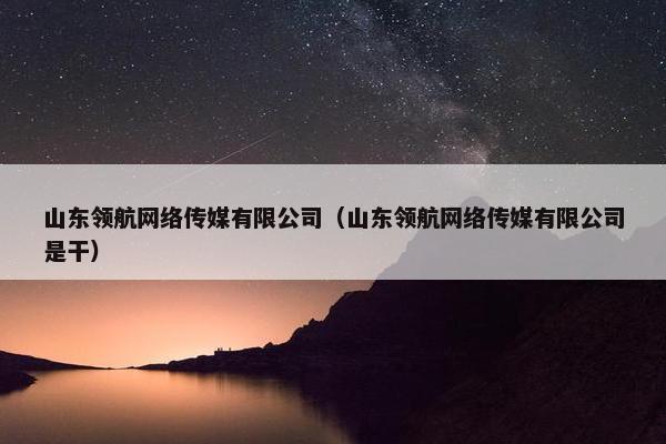 山东领航网络传媒有限公司（山东领航网络传媒有限公司是干）