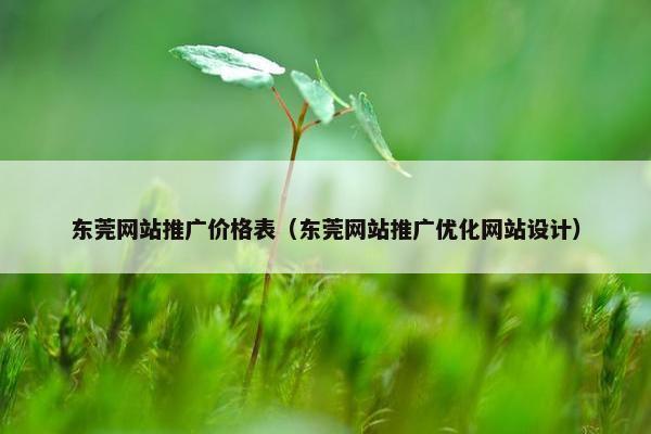 东莞网站推广价格表（东莞网站推广优化网站设计）