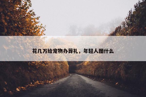 花几万给宠物办葬礼，年轻人图什么