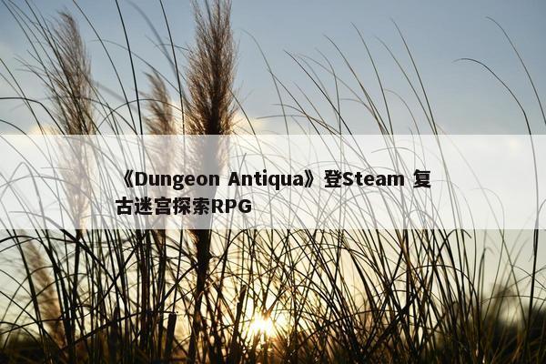 《Dungeon Antiqua》登Steam 复古迷宫探索RPG