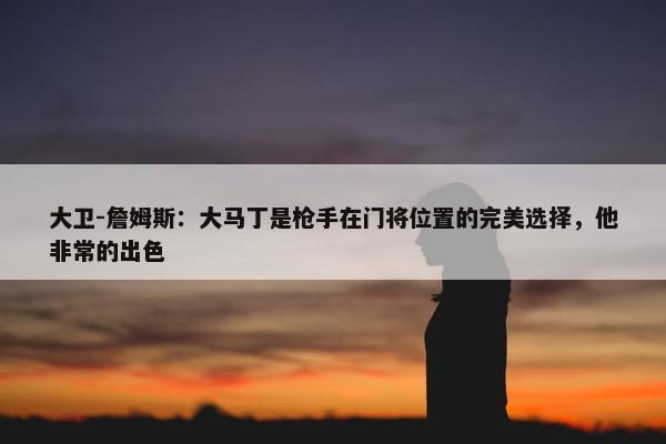 大卫-詹姆斯：大马丁是枪手在门将位置的完美选择，他非常的出色