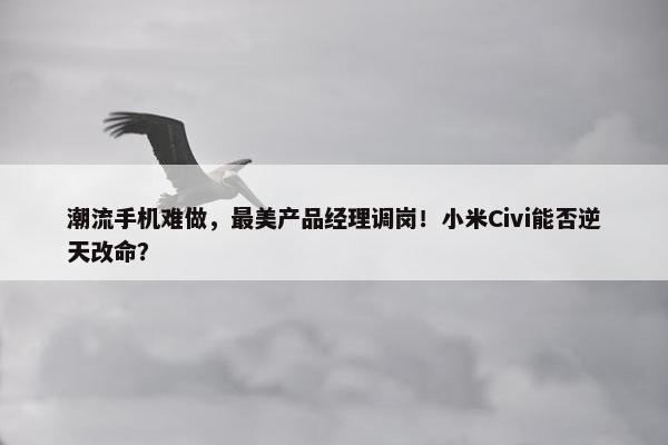 潮流手机难做，最美产品经理调岗！小米Civi能否逆天改命？