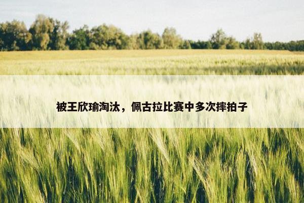 被王欣瑜淘汰，佩古拉比赛中多次摔拍子