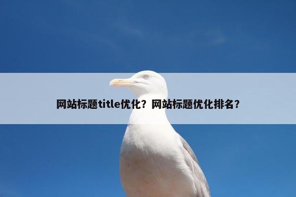 网站标题title优化？网站标题优化排名？