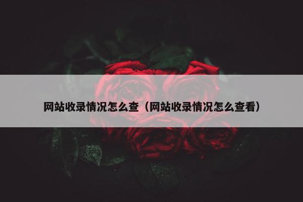 网站收录情况怎么查（网站收录情况怎么查看）