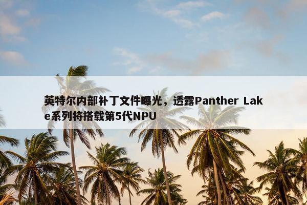 英特尔内部补丁文件曝光，透露Panther Lake系列将搭载第5代NPU