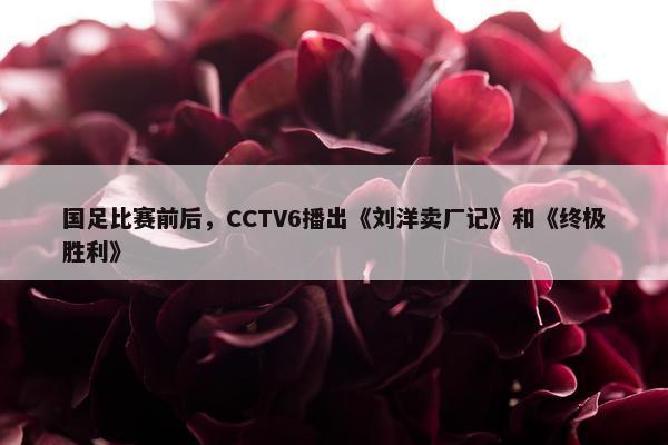 国足比赛前后，CCTV6播出《刘洋卖厂记》和《终极胜利》