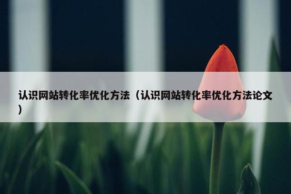 认识网站转化率优化方法（认识网站转化率优化方法论文）