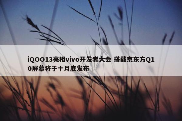 iQOO13亮相vivo开发者大会 搭载京东方Q10屏幕将于十月底发布