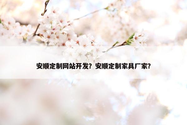 安顺定制网站开发？安顺定制家具厂家？