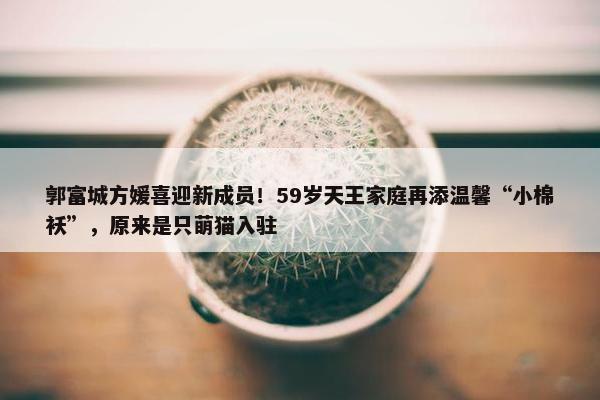 郭富城方媛喜迎新成员！59岁天王家庭再添温馨“小棉袄”，原来是只萌猫入驻