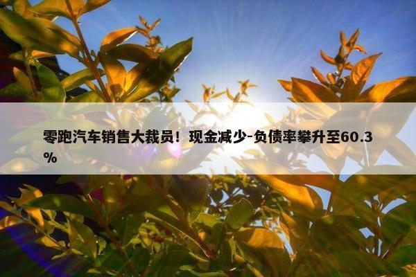 零跑汽车销售大裁员！现金减少-负债率攀升至60.3%